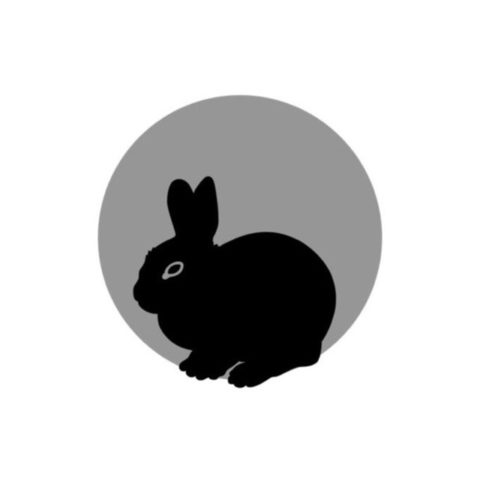 31 Little Rose Rabbit | Newberry Artisan Market